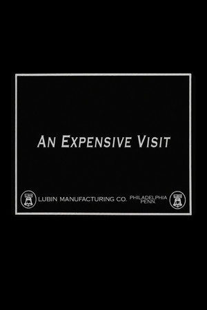 An Expensive Visit