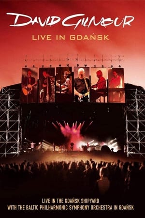 David Gilmour: Live In Gdańsk poszter