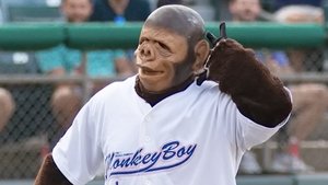 Come Home Monkey Boy háttérkép