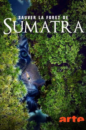 Sauver la forêt de Sumatra poszter
