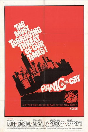 Panic in the City poszter