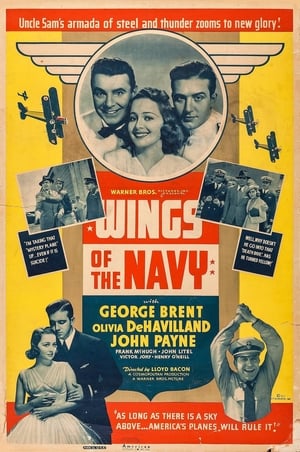 Wings of the Navy poszter