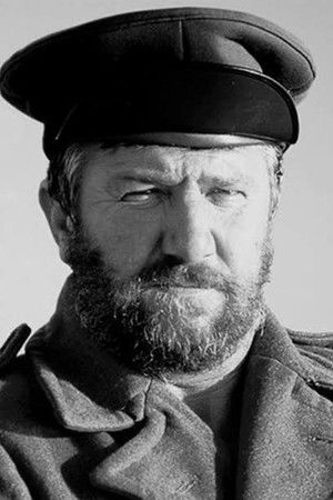 Tolla Van Der Merwe profil kép