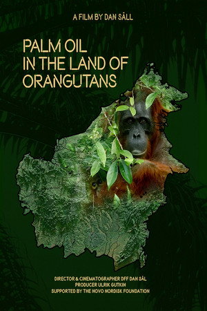 Palmeolie i Orangutangernes land