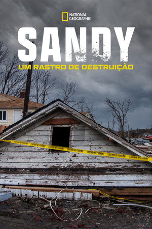 Superstorm New York: What Really Happened poszter