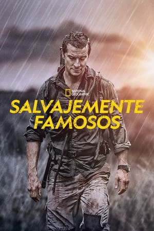 Bear Grylls: Sztárok a vadonban poszter