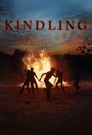 Kindling poszter