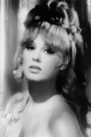 Mamie Van Doren profil kép