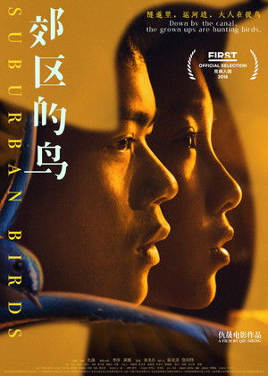 郊区的鸟 poszter