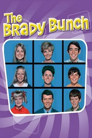 The Brady Bunch poszter