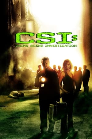 CSI: A helyszínelők poszter