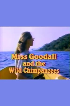 Miss Goodall and the Wild Chimpanzees poszter