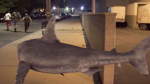 Bad CGI Sharks háttérkép