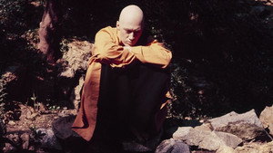 Kung Fu: The Way of the Tiger, the Sign of the Dragon háttérkép