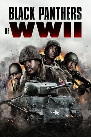 Black Panthers of WWII poszter