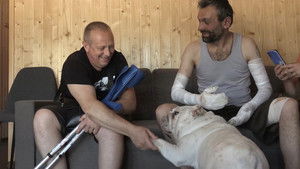 犬と戦争: ウクライナで私が見たこと háttérkép