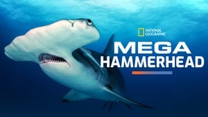 Mega Hammerhead háttérkép