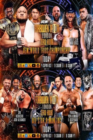 AEW x NJPW: Forbidden Door 2025 - Zero Hour poszter