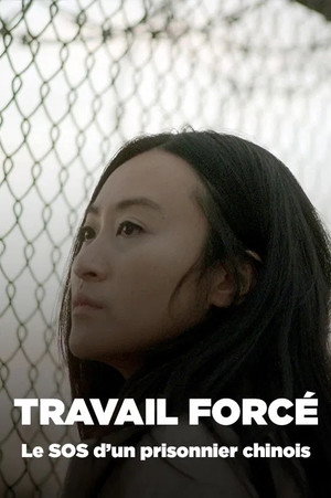 Travail forcé, le SOS d'un prisonnier chinois poszter
