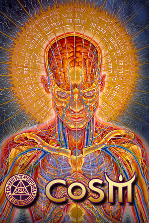 Alex Grey & The Chapel of Sacred Mirrors COSM The Movie poszter