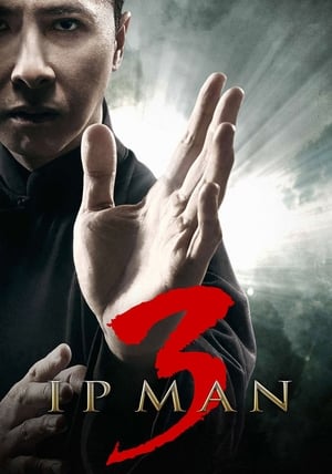 Ip Man - A védelmező poszter