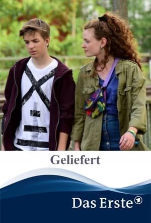 Geliefert poszter