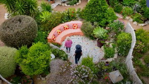 Gardening Australia 36. évad Ep.39 39. epizód