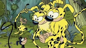 Marsupilami kép