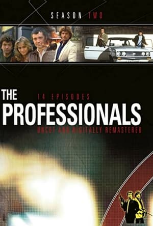 The Professionals poszter