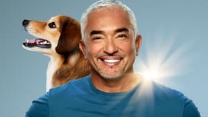 Cesar Millan: Jó gazdi, jó kutya kép