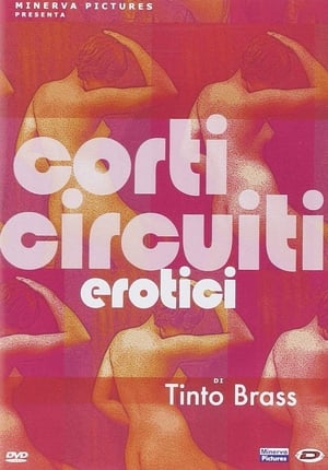 Tinto Brass Presents Erotic Short Stories: Part 1 poszter