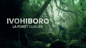 Ivohiboro: La Forêt Oubliée háttérkép