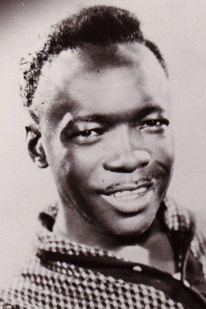 John Lee Hooker profil kép