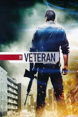 A Veterán poszter