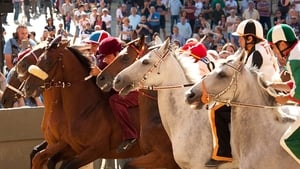 Palio háttérkép