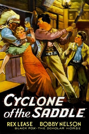 Cyclone of the Saddle poszter