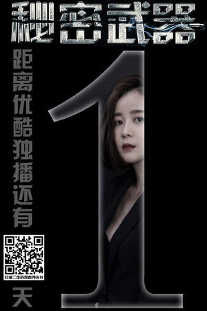 女特工的秘密武器 poszter