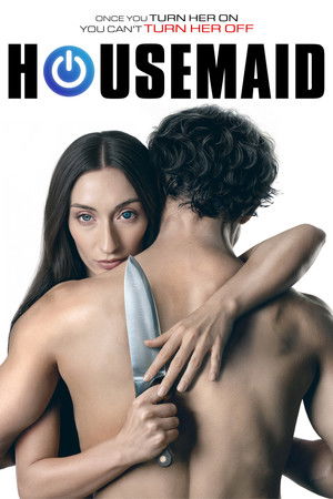 Housemaid poszter