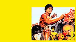 Kung-fu kölyök háttérkép