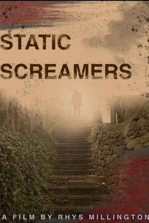 STATIC SCREAMERS poszter