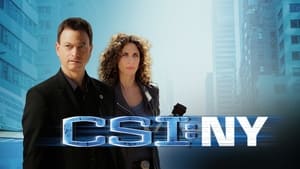 CSI: New York-i helyszínelők kép