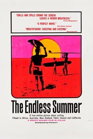 The Endless Summer poszter