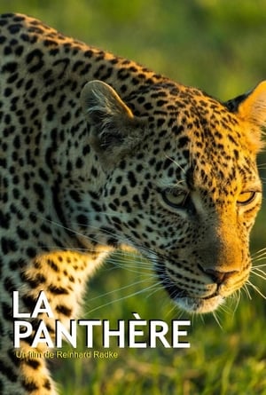 Die Leopardin poszter