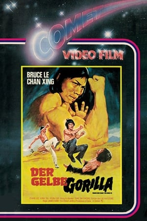 Bruce and Shaolin Kung Fu poszter