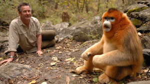 Untamed China kép