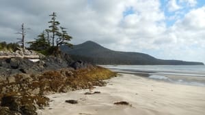 Haida Gwaii: On the Edge of the World háttérkép