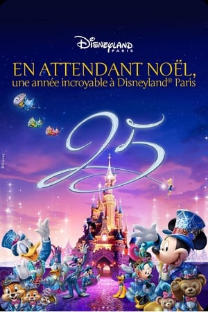 En attendant Noël : une année incroyable à Disneyland poszter