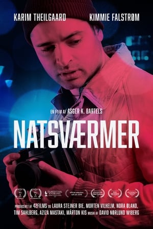 Natsværmer