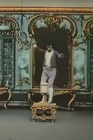 Les illusions fantaisistes poszter