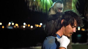 Who's Your Monkey? háttérkép